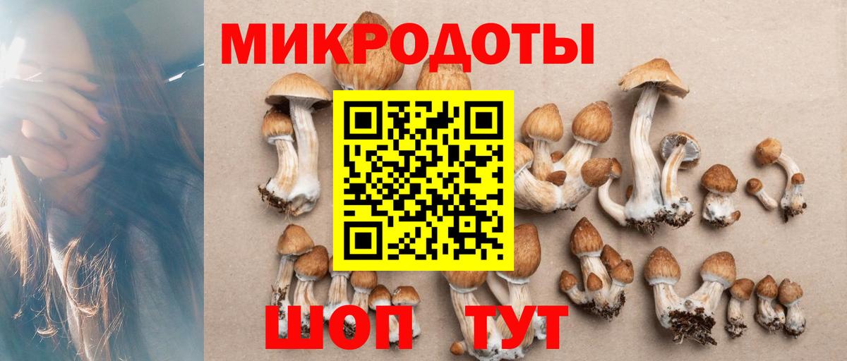 Галлюциногенные грибы Magic Shrooms Нарьян-Мар