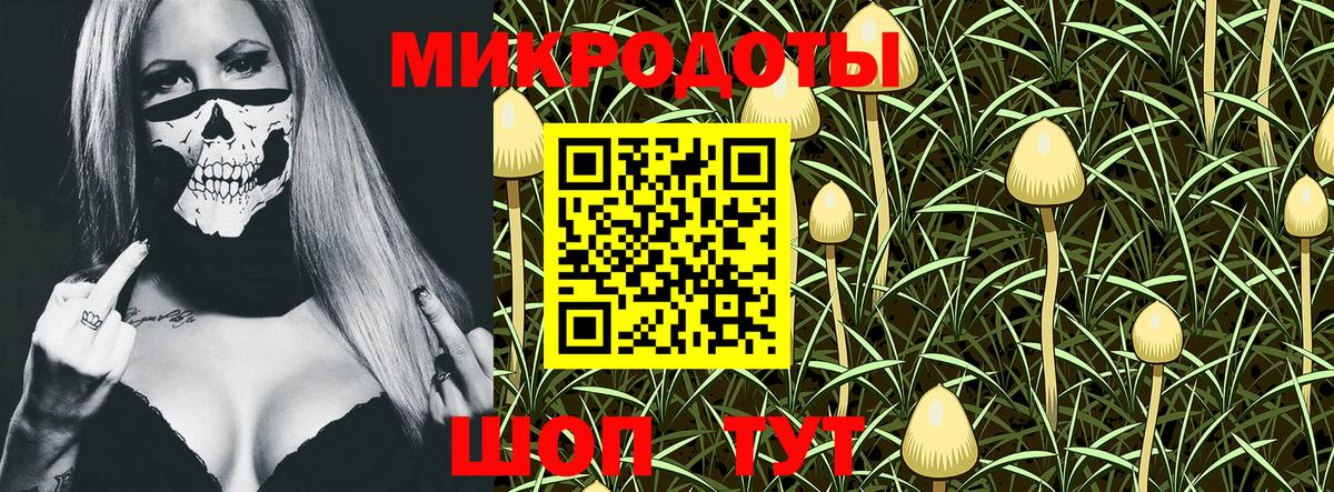 Галлюциногенные грибы Cubensis  Вход с VPN  Нарьян-Мар 